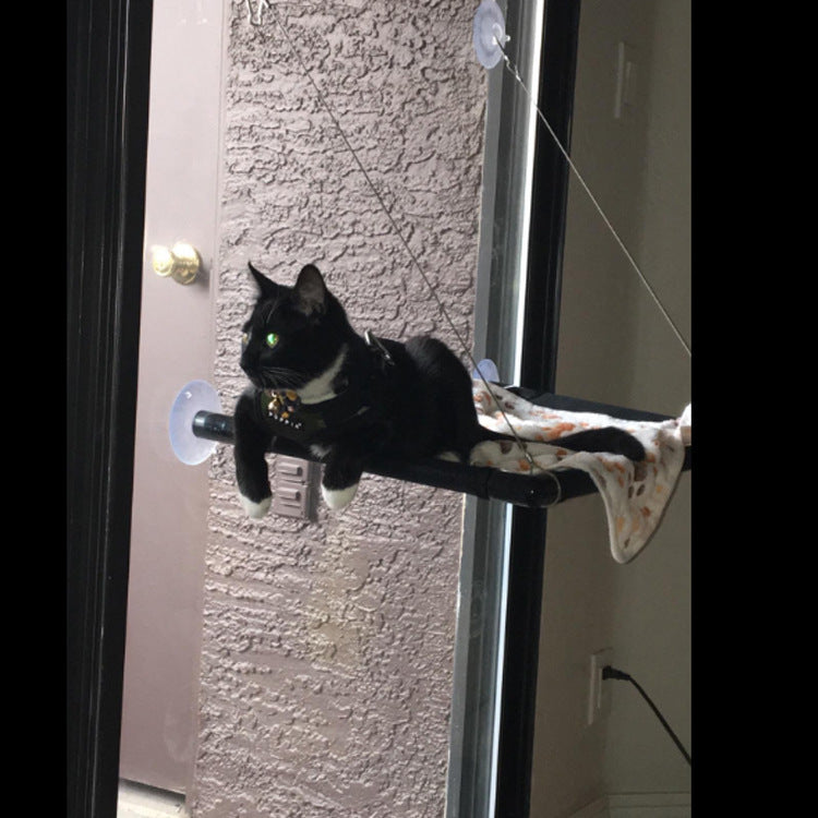 Black and white cat sitting on a door handle with suction cups