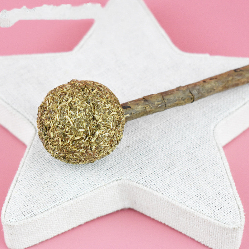 Catnip Lollipop