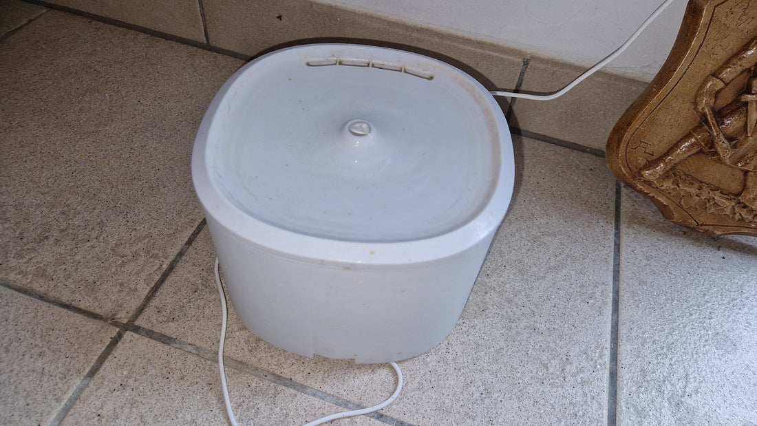 Drinkfontein voor katten: een slimme investering of gewoon een luxe?