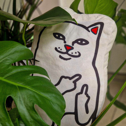 The Cat Cushion with Attitude: Humor Meets Comfort