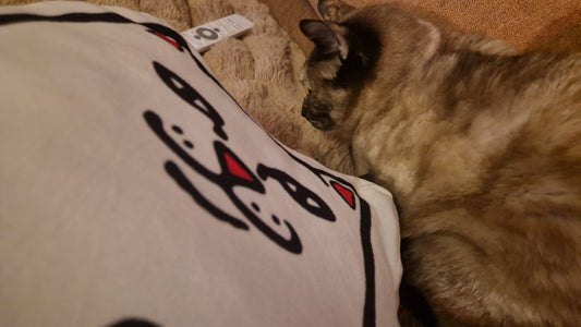 How to Make an Indoor Cat Happy: The Ultimate Guide to a Fulfilled Indoor Life