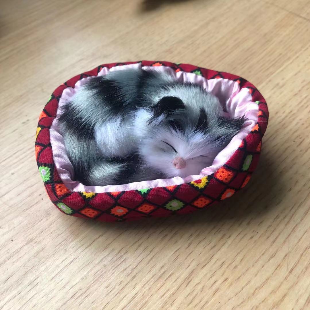 Will the small cat sleeping in a little bed toy
