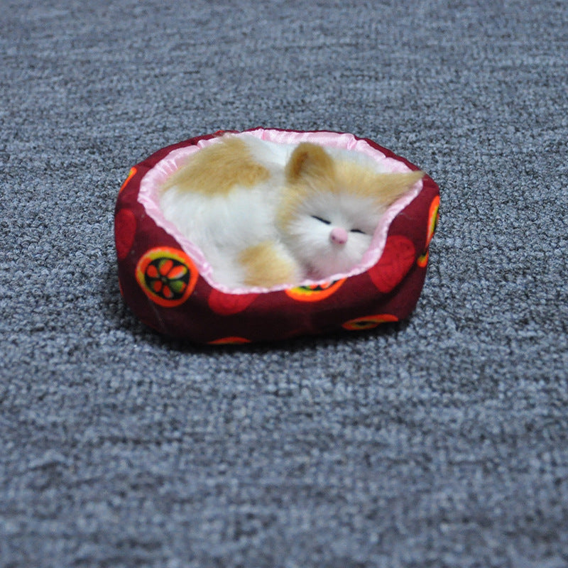 Orange Will the small cat sleeping in a little bed toy