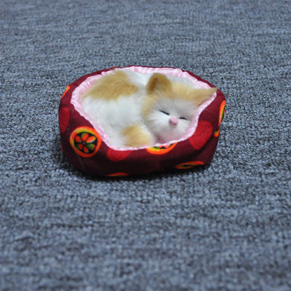 Orange Will the small cat sleeping in a little bed toy
