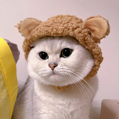 Cat wearing a brown bear hat with ears on a plain background