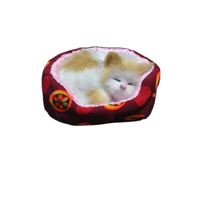Will the small cat sleeping in a little bed toy