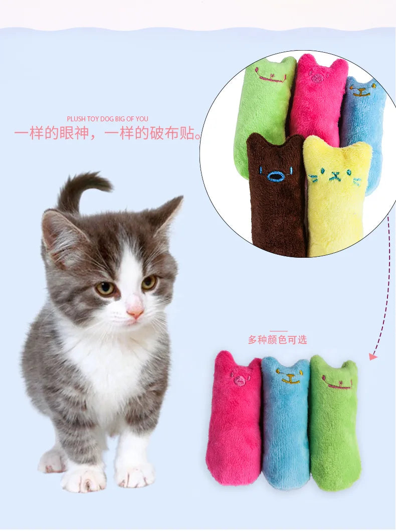 Kitten next to colorful cat-shaped cat toys - Neferpaws