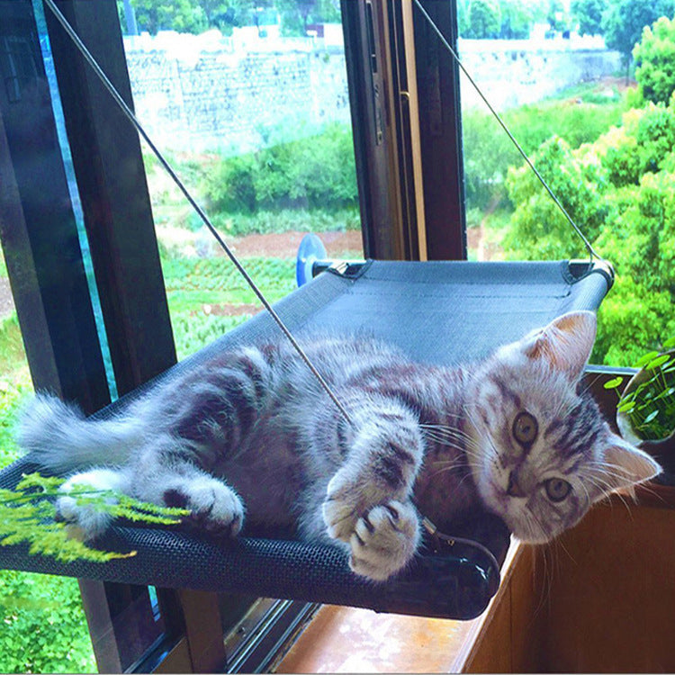 Cat lounging on a small hammock by a window with a view of greenery outside.